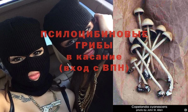 кокаин премиум Алексин