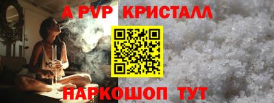шишки Будённовск