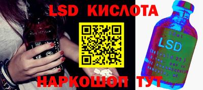 шишки Будённовск
