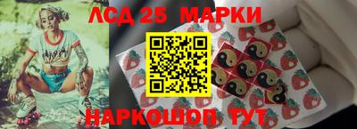 шишки Будённовск