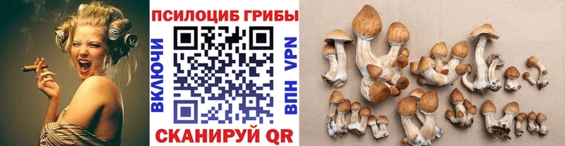 Галлюциногенные грибы ЛСД Выкса