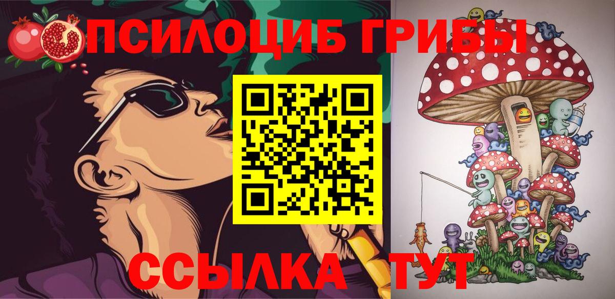 Выкса  цены наркотик  Вход с VPN  Псилоцибиновые грибы ЛСД 