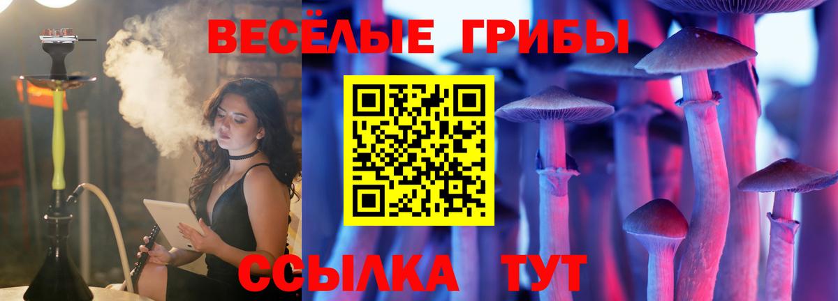 Псилоцибиновые грибы Cubensis Выкса