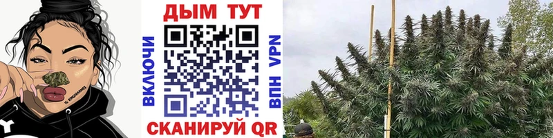 Шишки марихуана план  Выкса 